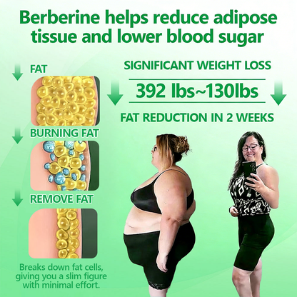 KLENIMORE® Berberine 6-in-1 Nano Microneedle Patch Advanced Metabolism Support & Fat-Burning Formula